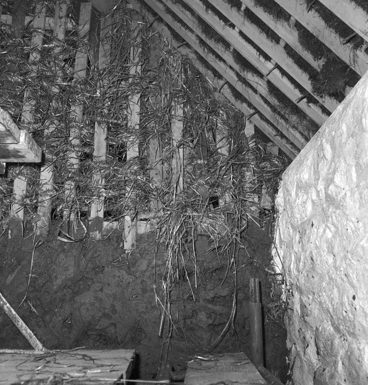 A black and white photograph showing a traditional wall construction. The upper frame is being filled with hay.