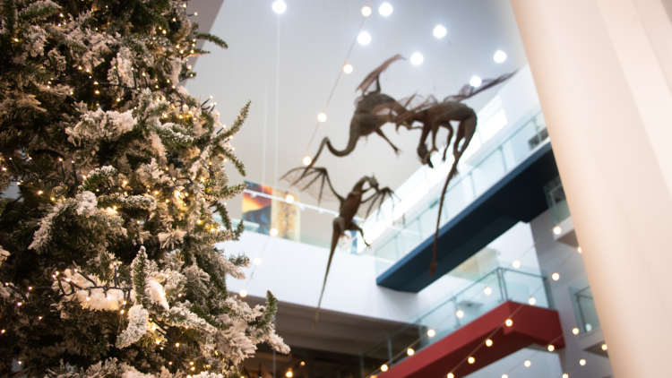 Atrium at Christmas
