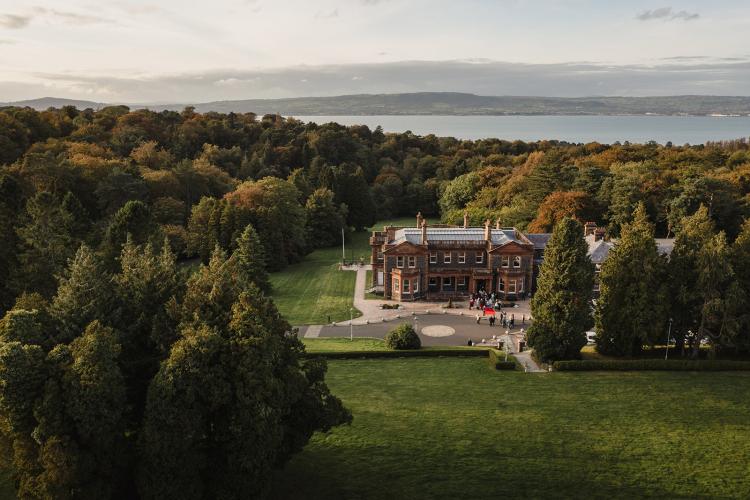Manor from above