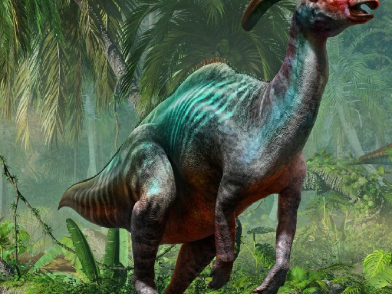 An illustrated image of a colourful dinosaur