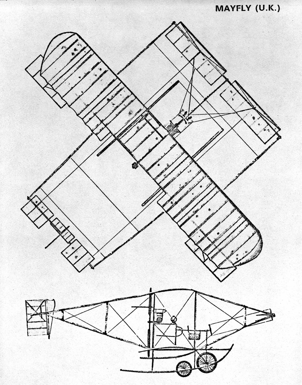Mayfly