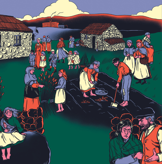 Fiona McDonnell Life in Ireland Illustration, green purple and red