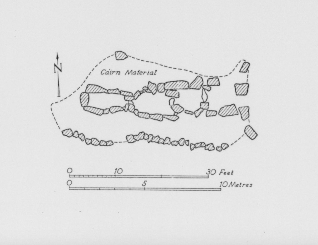An archaeological drawing of the court tomb and its stones.