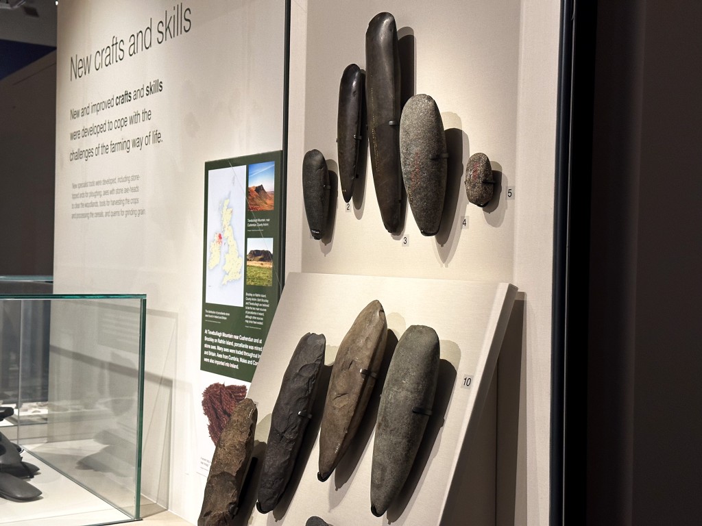 A photo of an exhibit of polished stone axes.