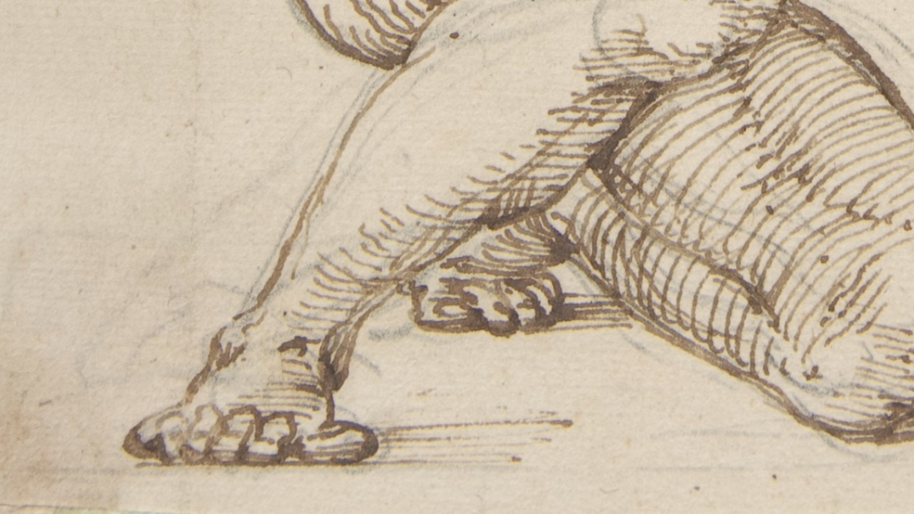 A Crouching Figure of Atlas, close up drawing of bare foot