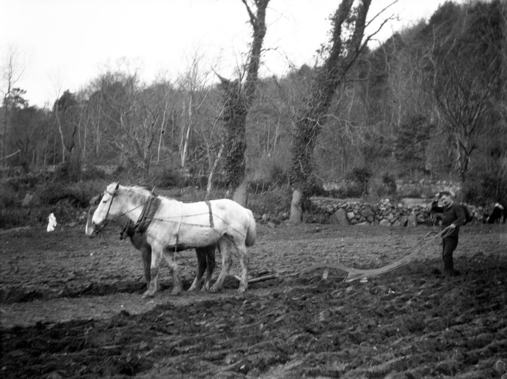A black and white photograph of a man ploughing with two horses.