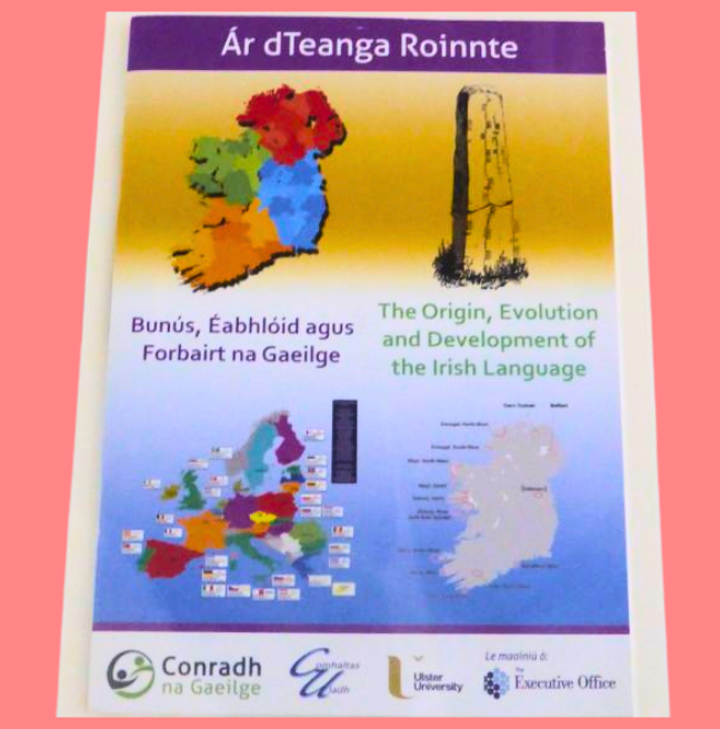 Ar dTeanga Roinnte: The Origin, Evolution and Development of the Irish Language