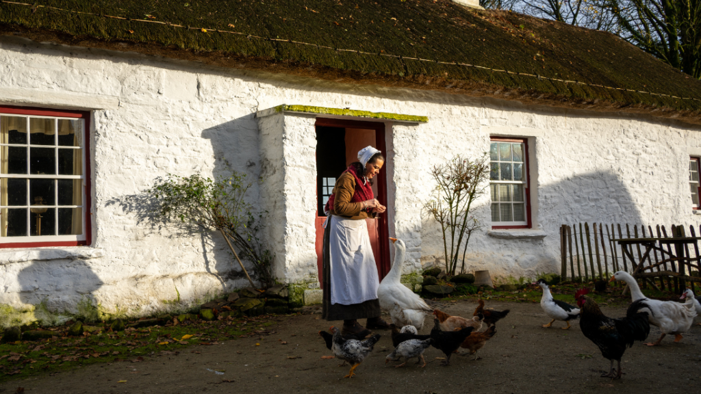 A woman stands outside a cottage dressed in traditional 19th century clothing. She is feeding geese and ducks.