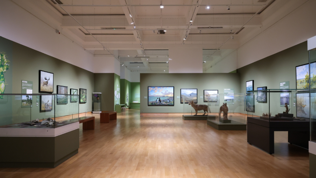 Install image of the Wild Ireland exhibition at the Ulster Museum