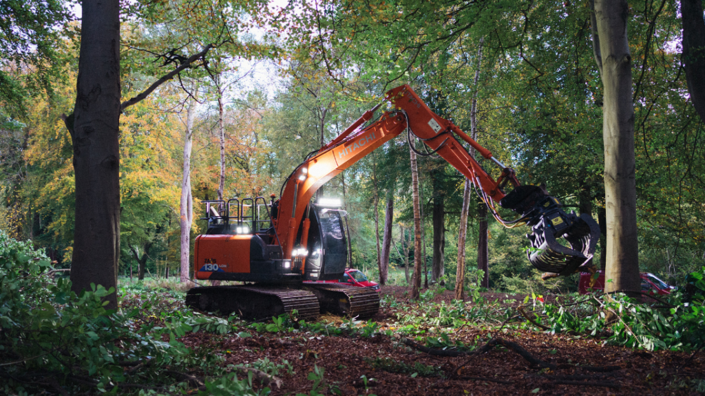 Orange digger removing trees, light on the digger, Autumnal season