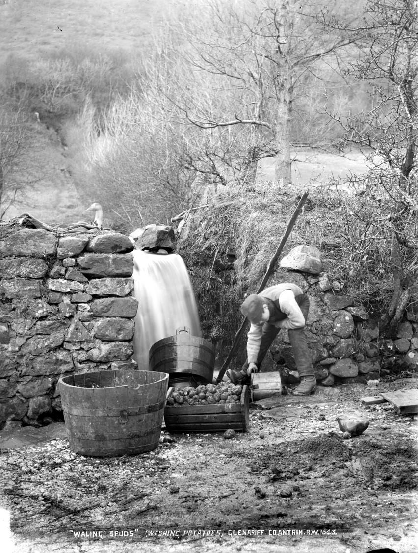 "Waling spuds" (Washing Potatoes) Glenariff, Co. Antrim