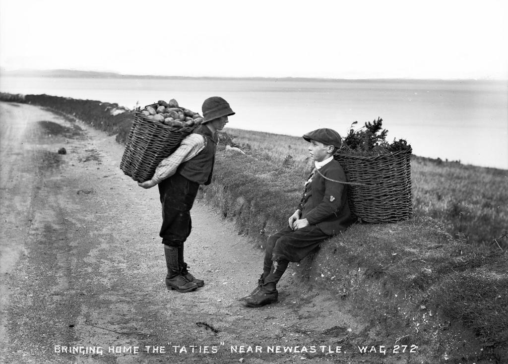 Two boys bringing home potatoes near Newcastle