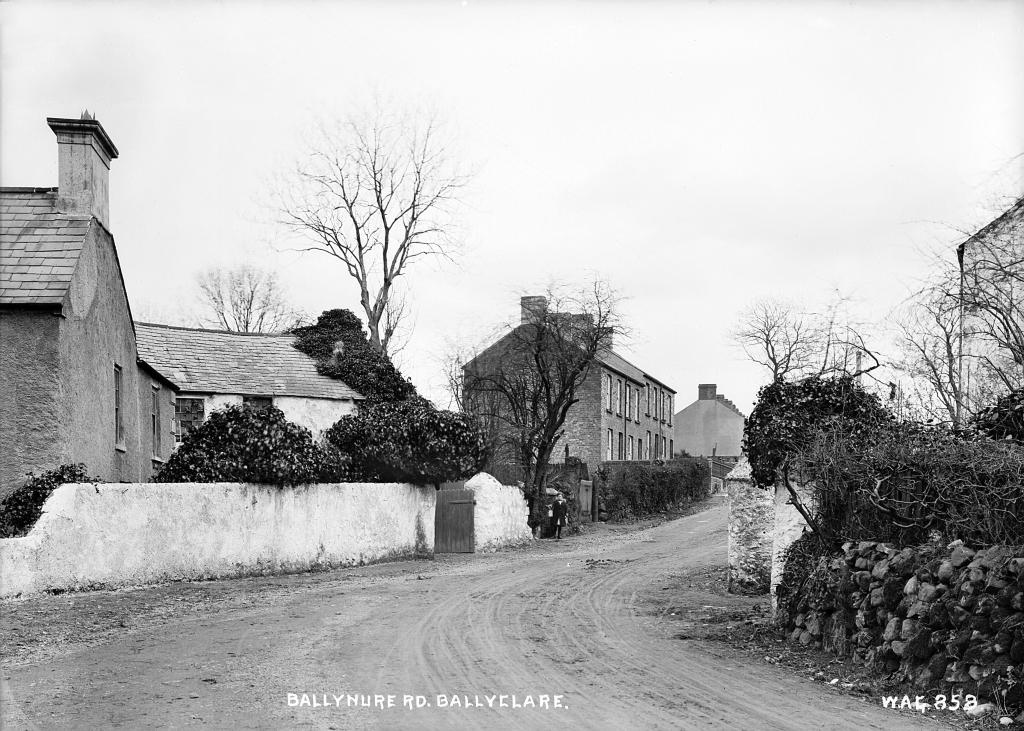 A view of a street in Ballynure. The street is unpaved, with a handful of houses on a curved road.