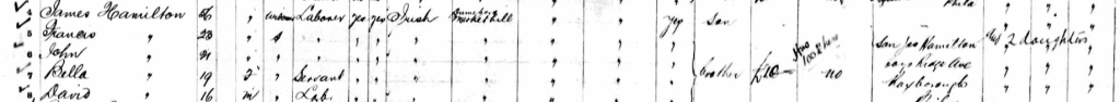 Arrival of James Sr., Francis, John, Isabella and David in Philadelphia on the Waesland from Liverpool, July 1898